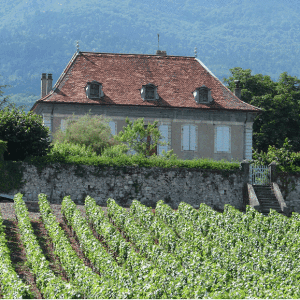 PRE-INVENTAIRE-DU-PATRIMOINE-DU-PAYS-DE-GEXBISS